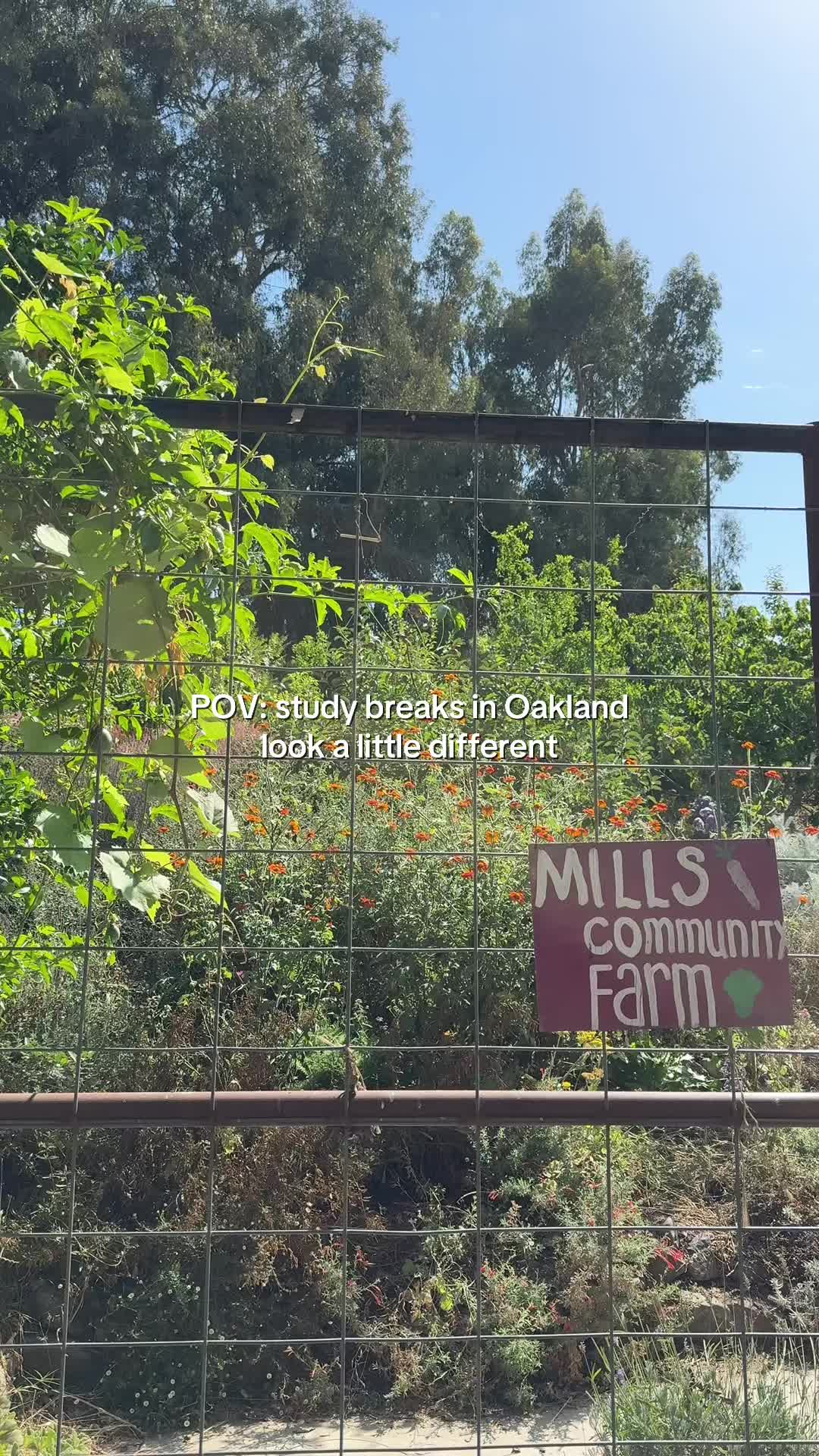 @nuoakland