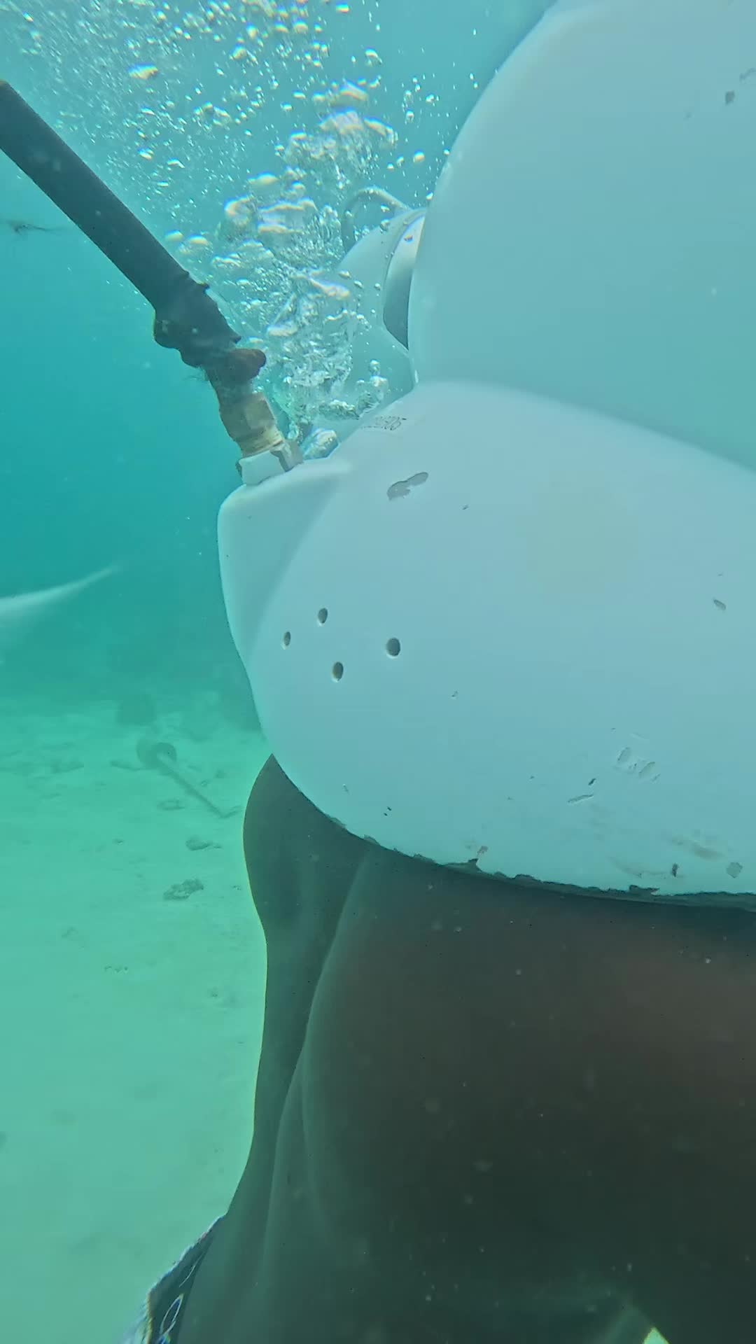 @𝐁𝐑𝐀𝐒𝐇𝐀𝐃_𝐂𝐄𝐎🇹🇬🇨🇩