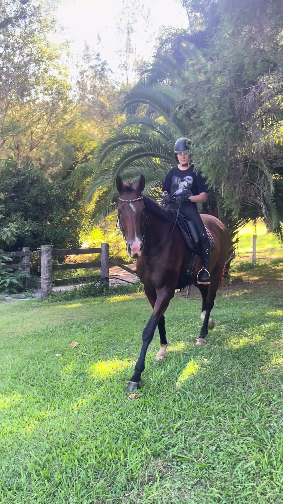 @Double F Performance Horses