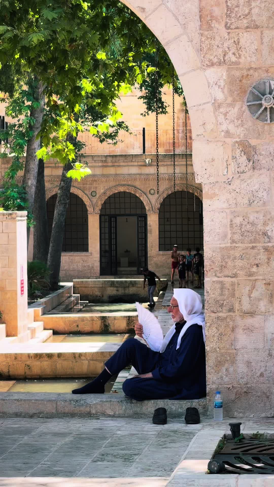 @MehmetDOGAN