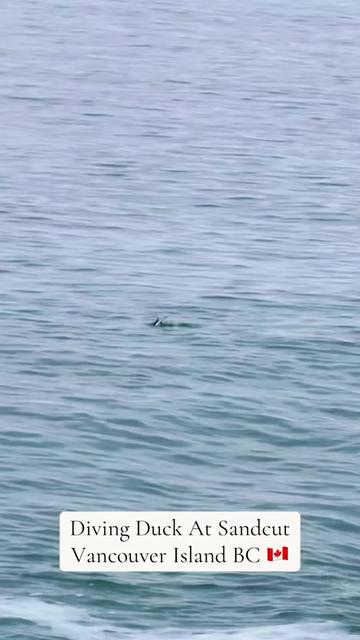 @Vancouver Island BC Canada