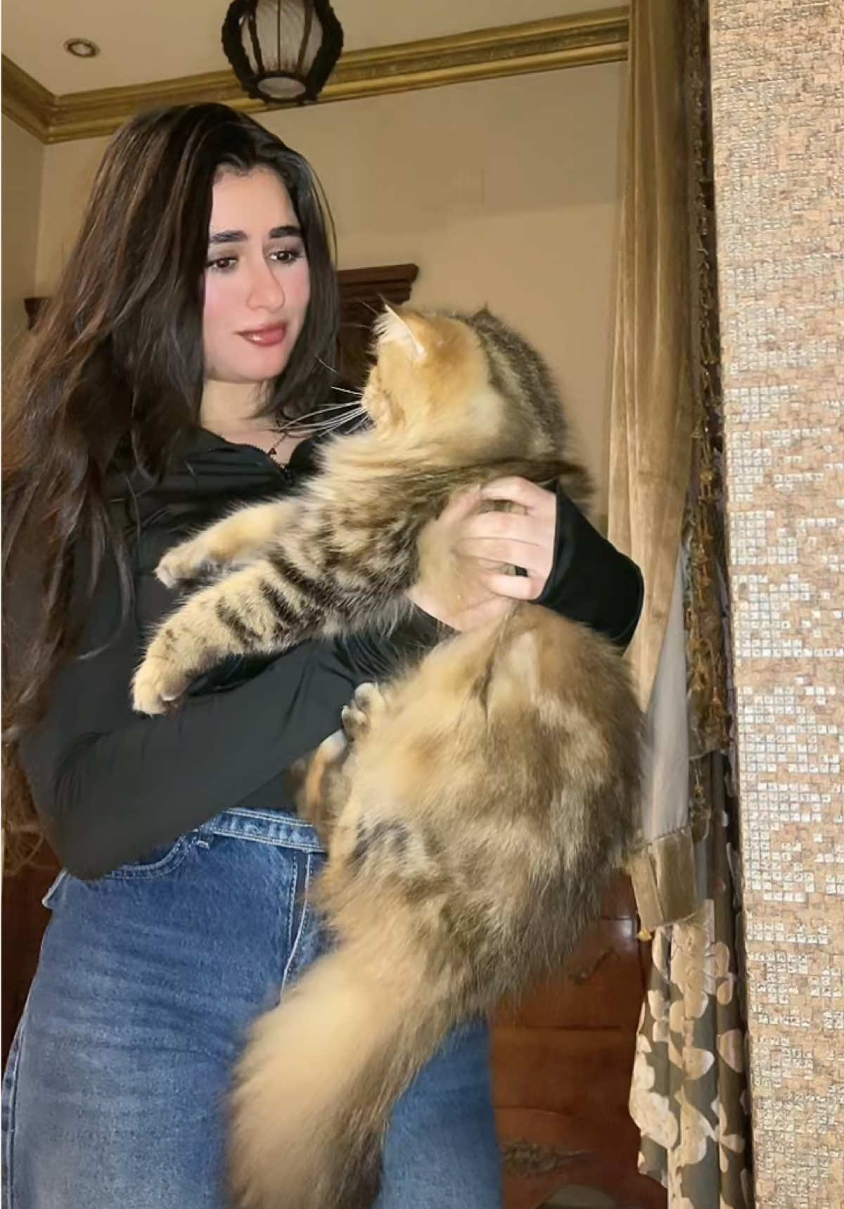 @meskbeshierr
