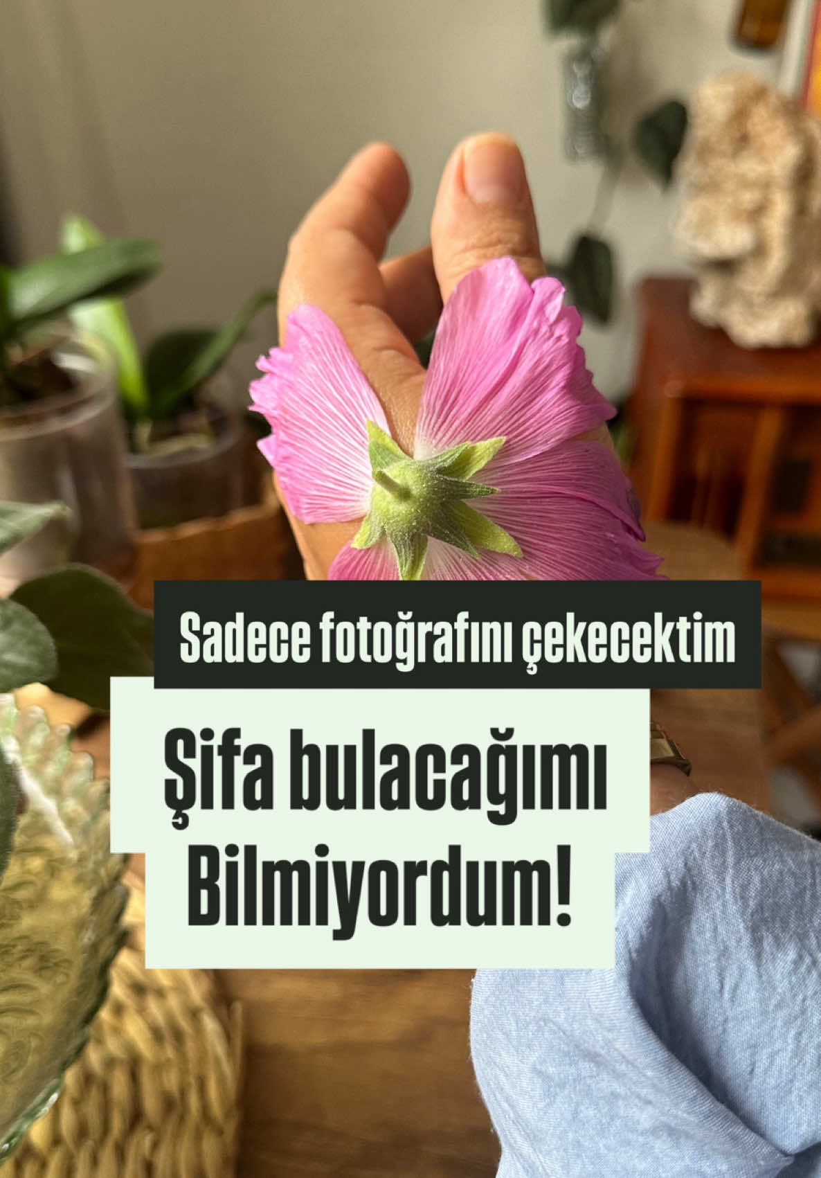 @yesillihanm