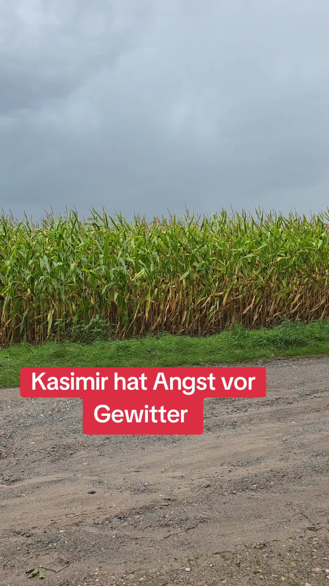 @Janine&Schatzi die echten