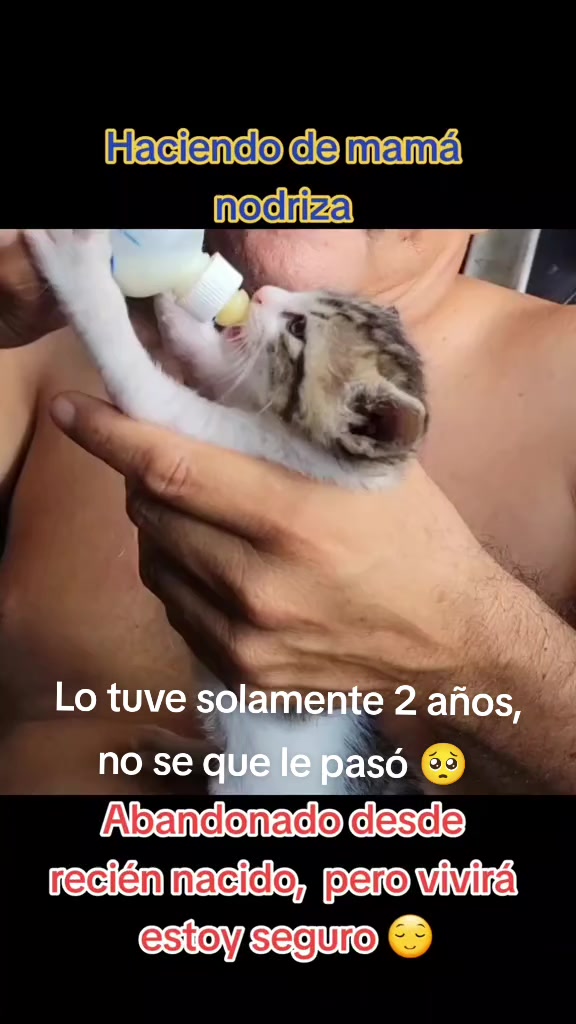 @ulaflores 💜