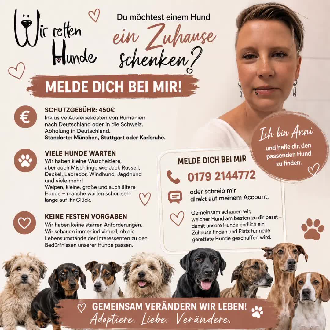@🐾 PfoteF&uuml;rPfote 🐾