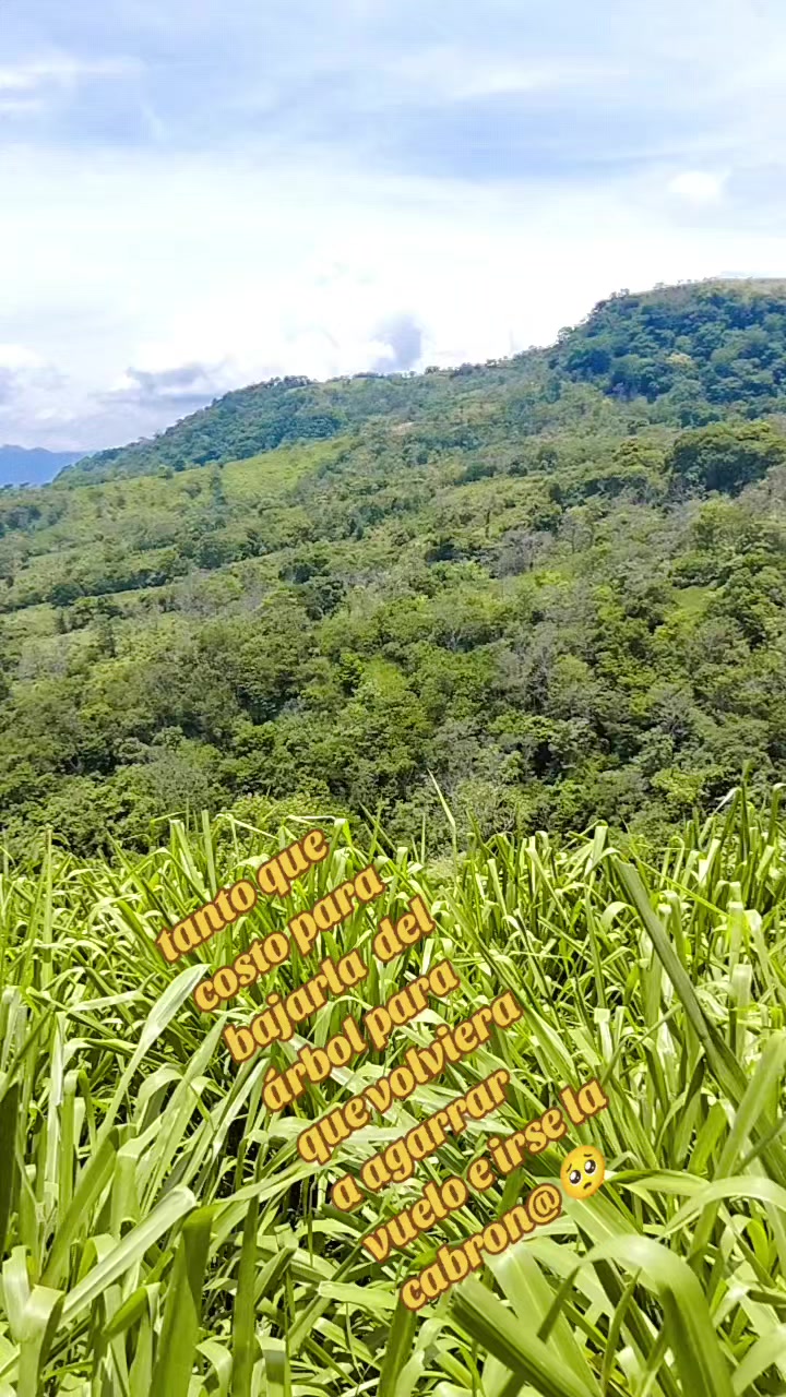 @DM...