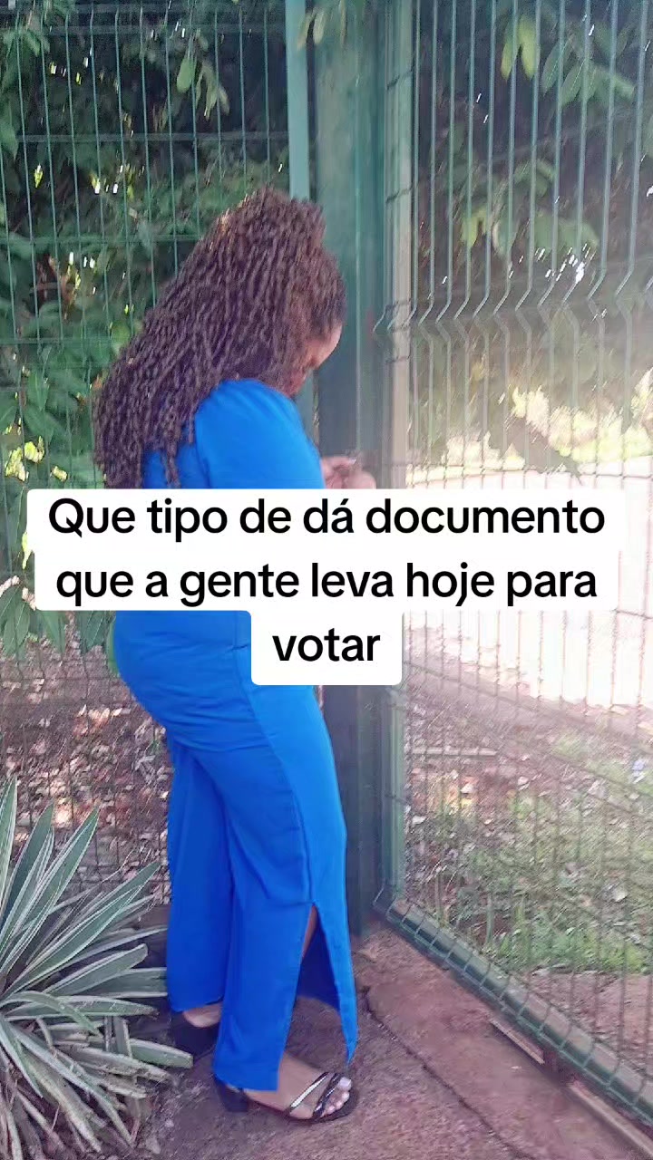 @gata jato