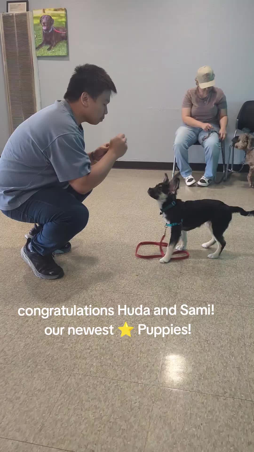 @South Paw Dog Training LLC
