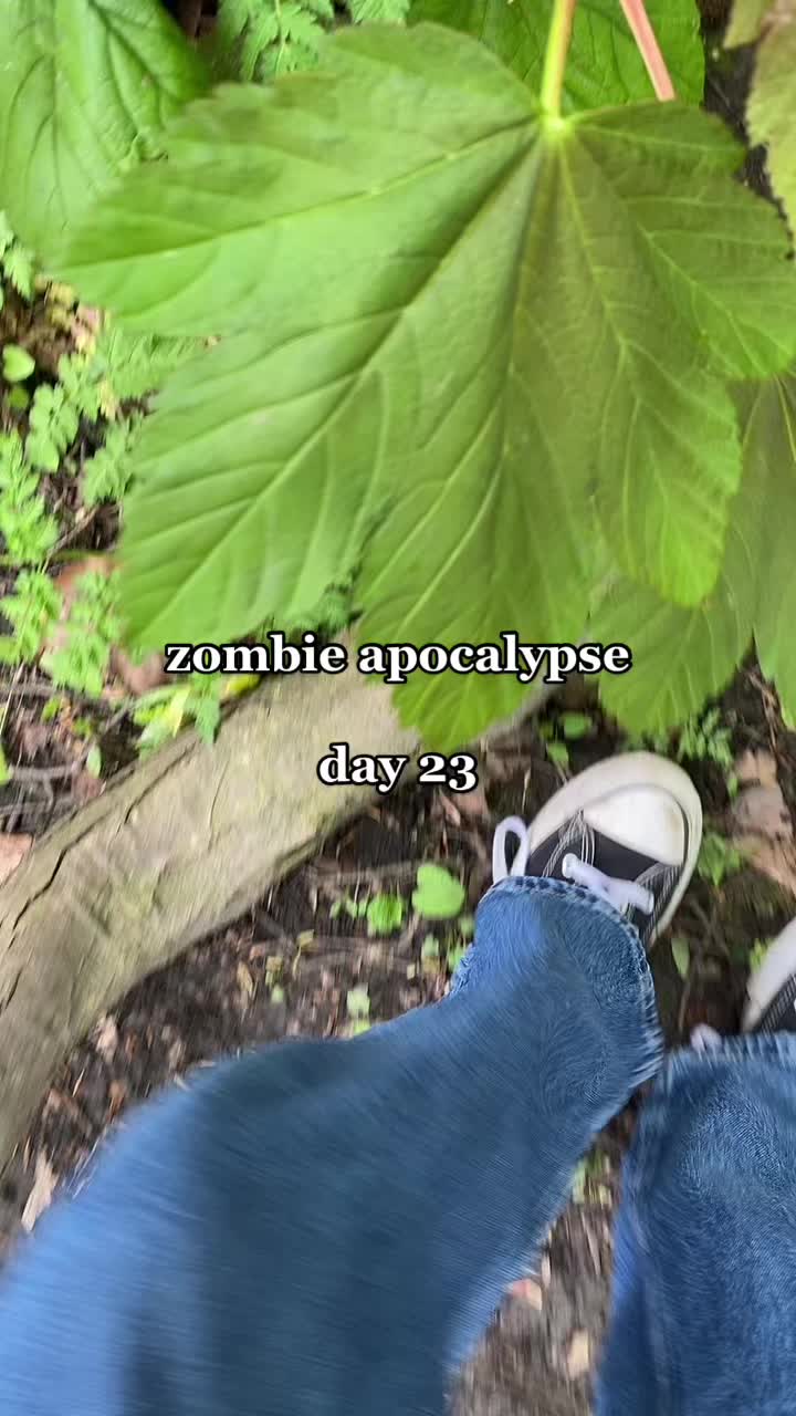 @𖦹⋆🦋₊˚