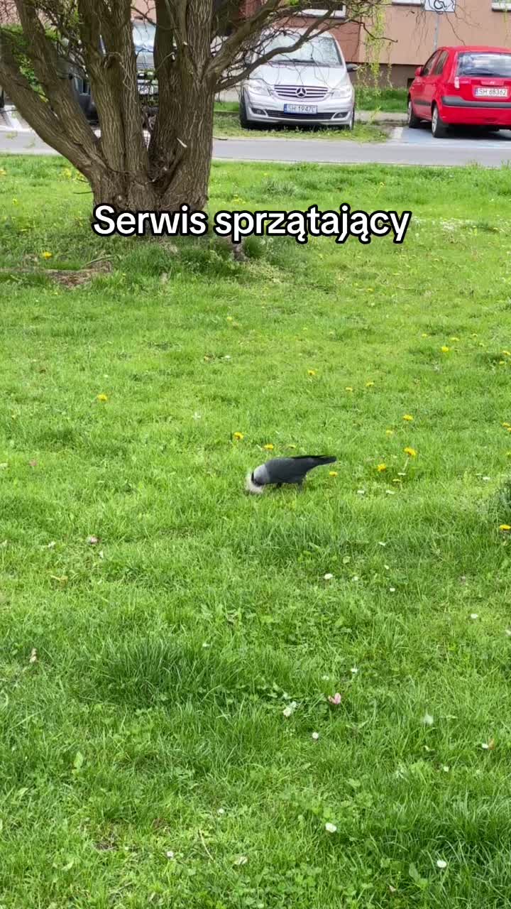 @Jestem Patryk