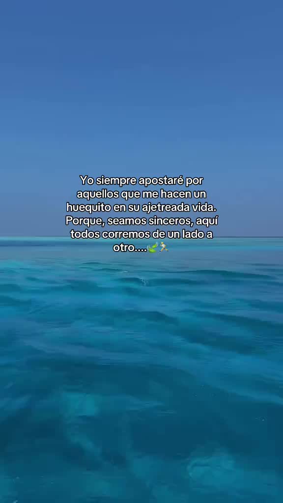 @reymant