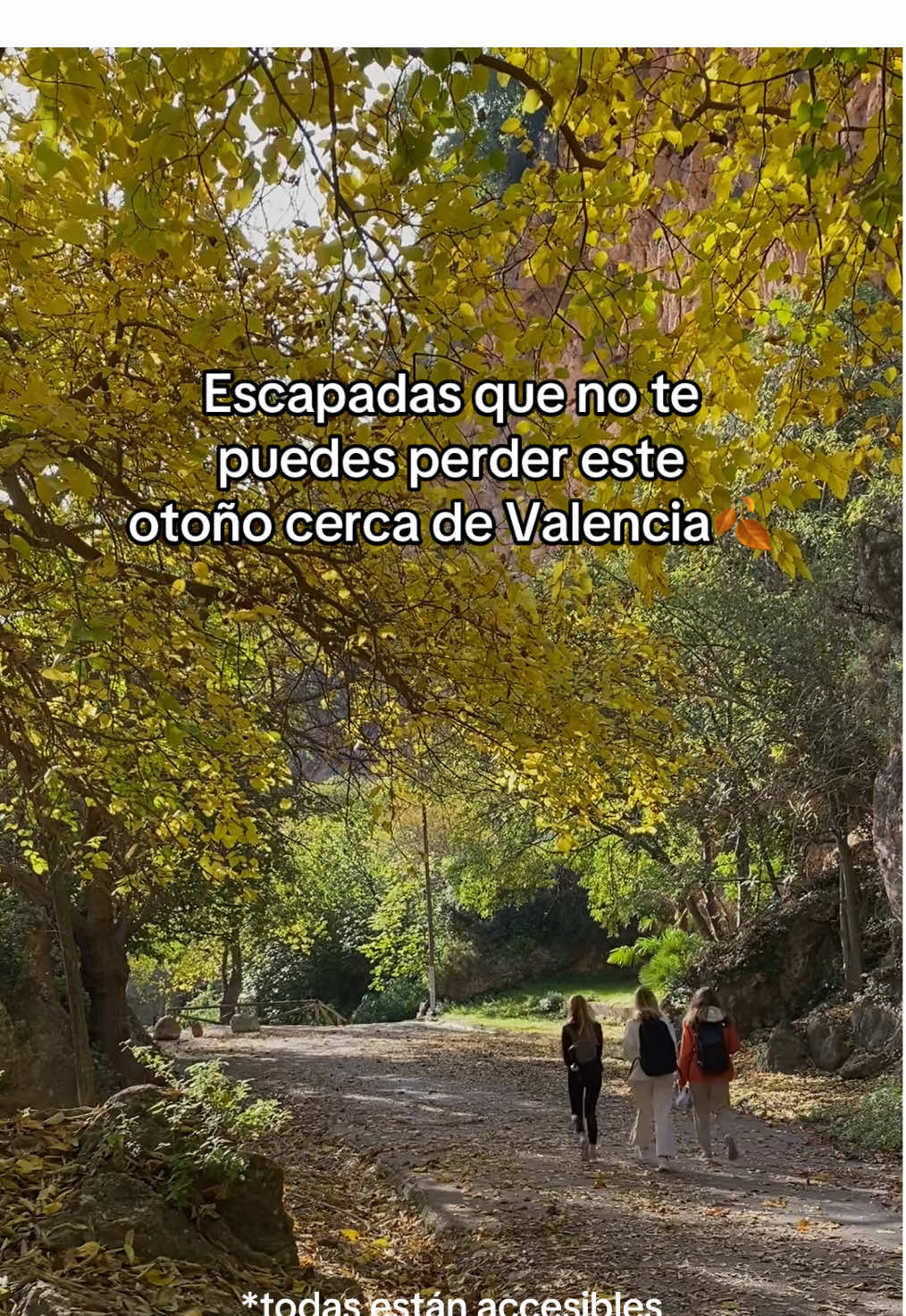@Karyna & Pedro