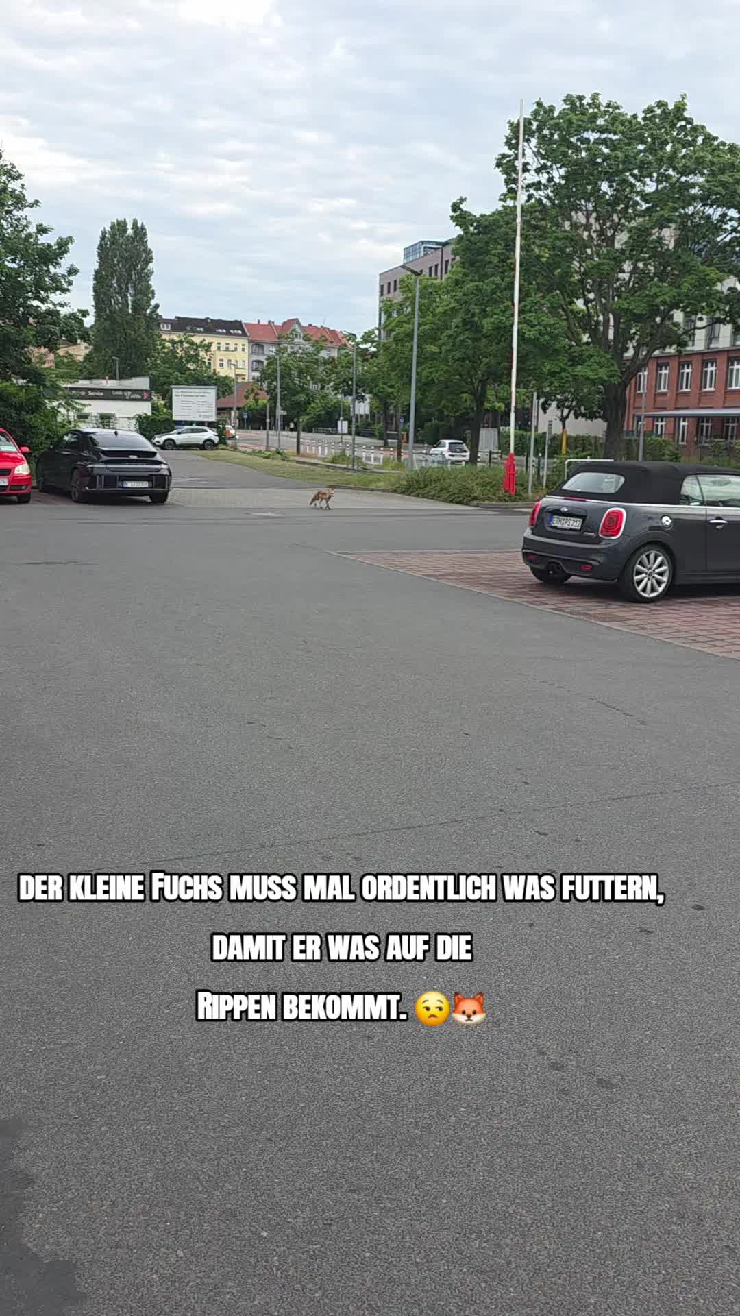@Kay aus Berlin 🇩🇪