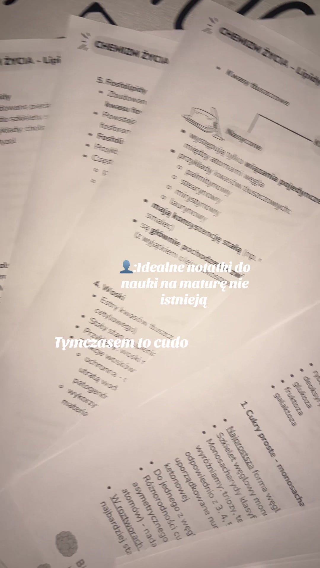 @martina.and.study