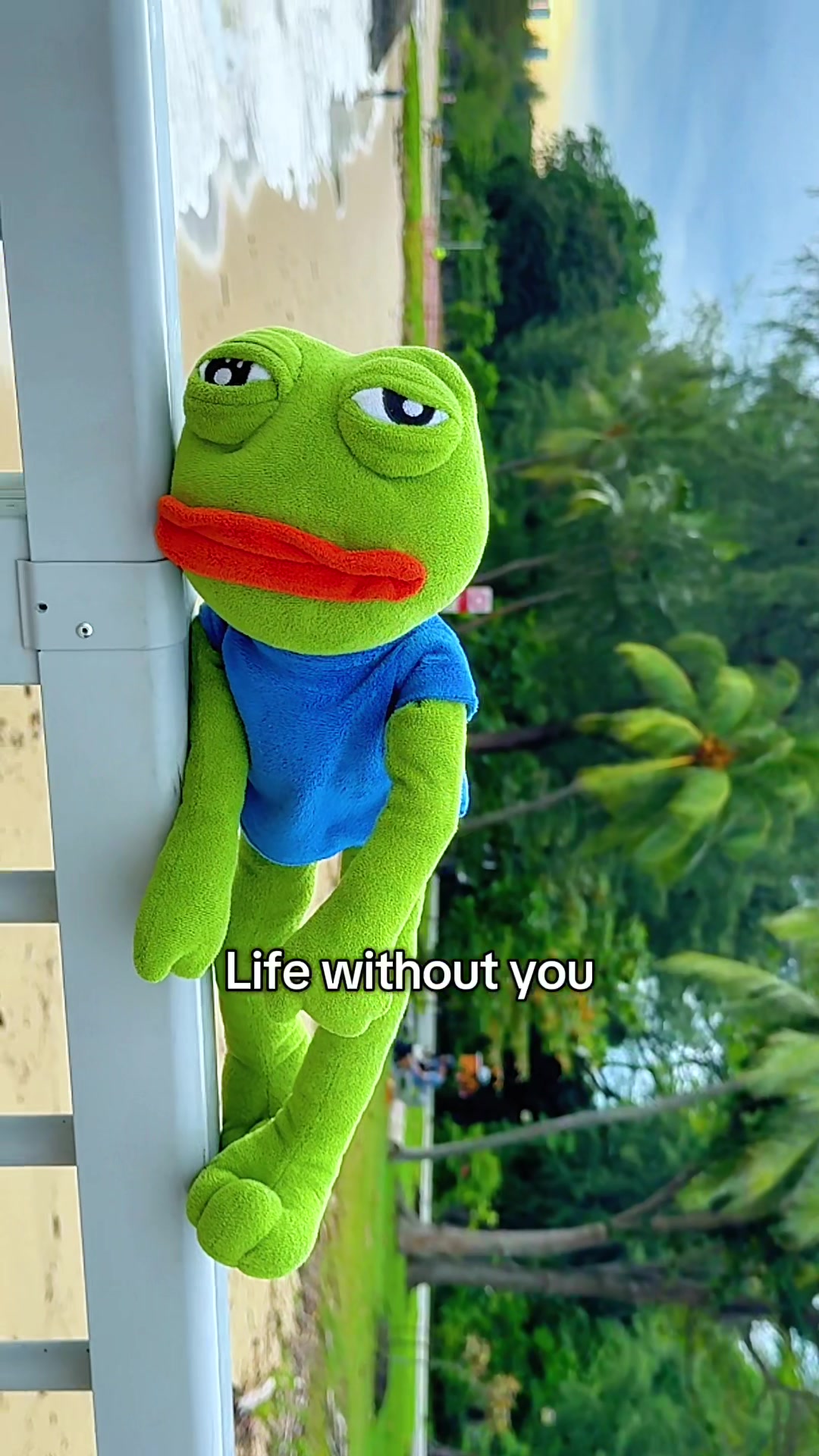 @AdoptAPepe