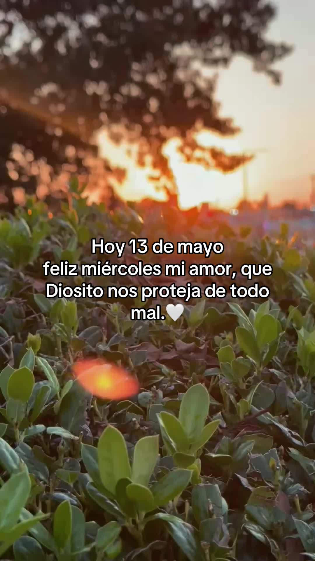 @rolitas502🇬🇹