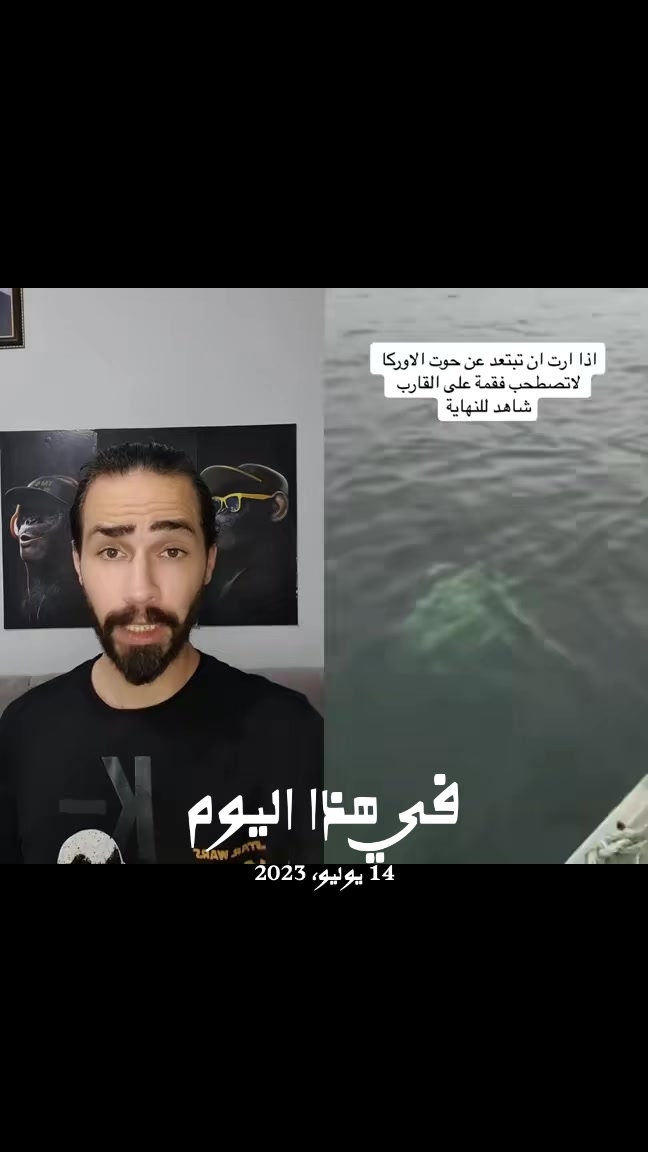 @Amr Farouk