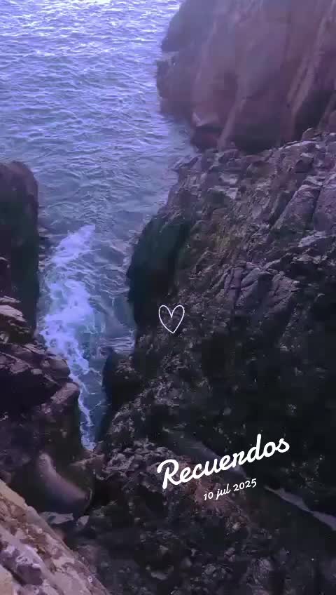 @Jessy García ๐ค๐ค๐ค๐ค๐