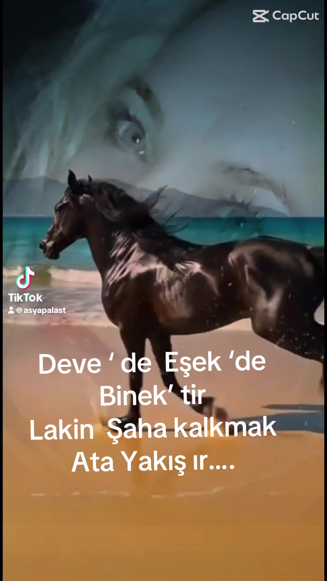@Asya 38