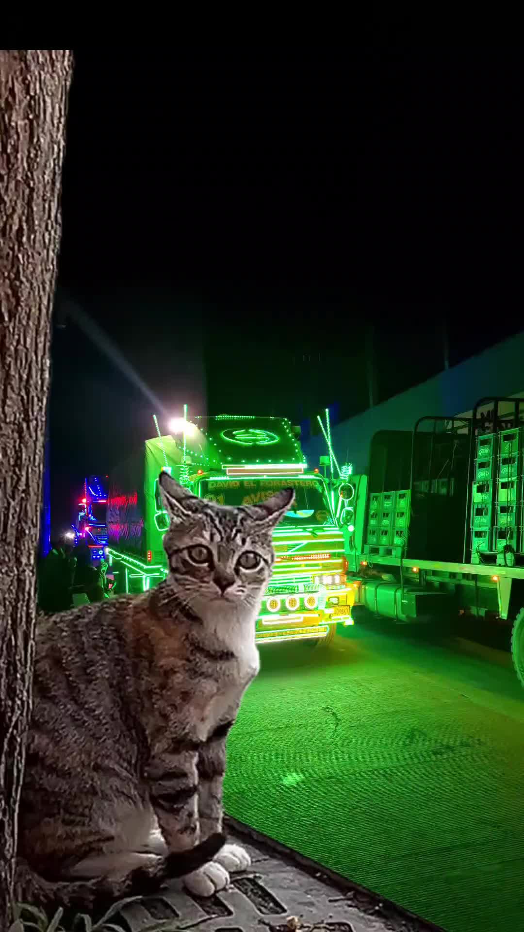 @🥷🚛Maynor&hellip;05🚀💚