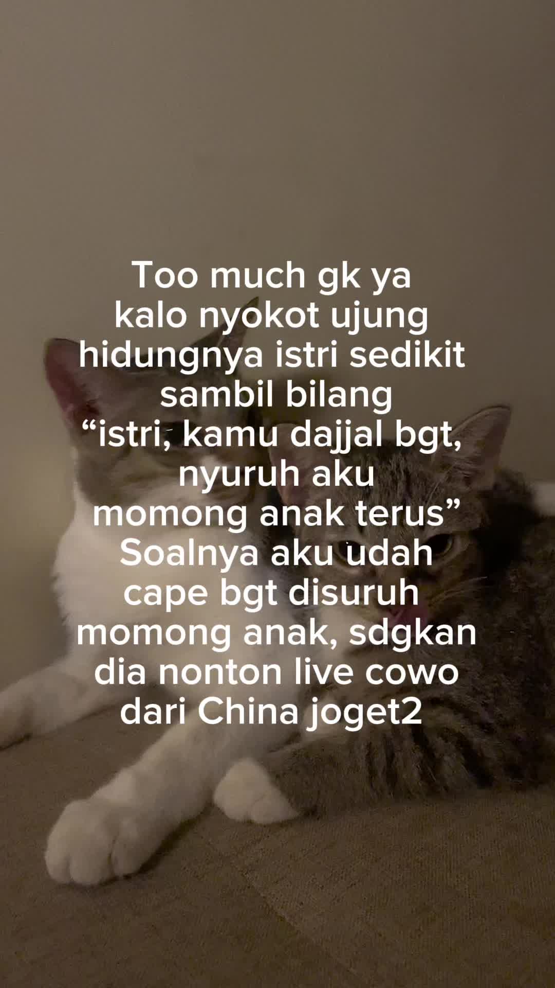 @three_muscateers