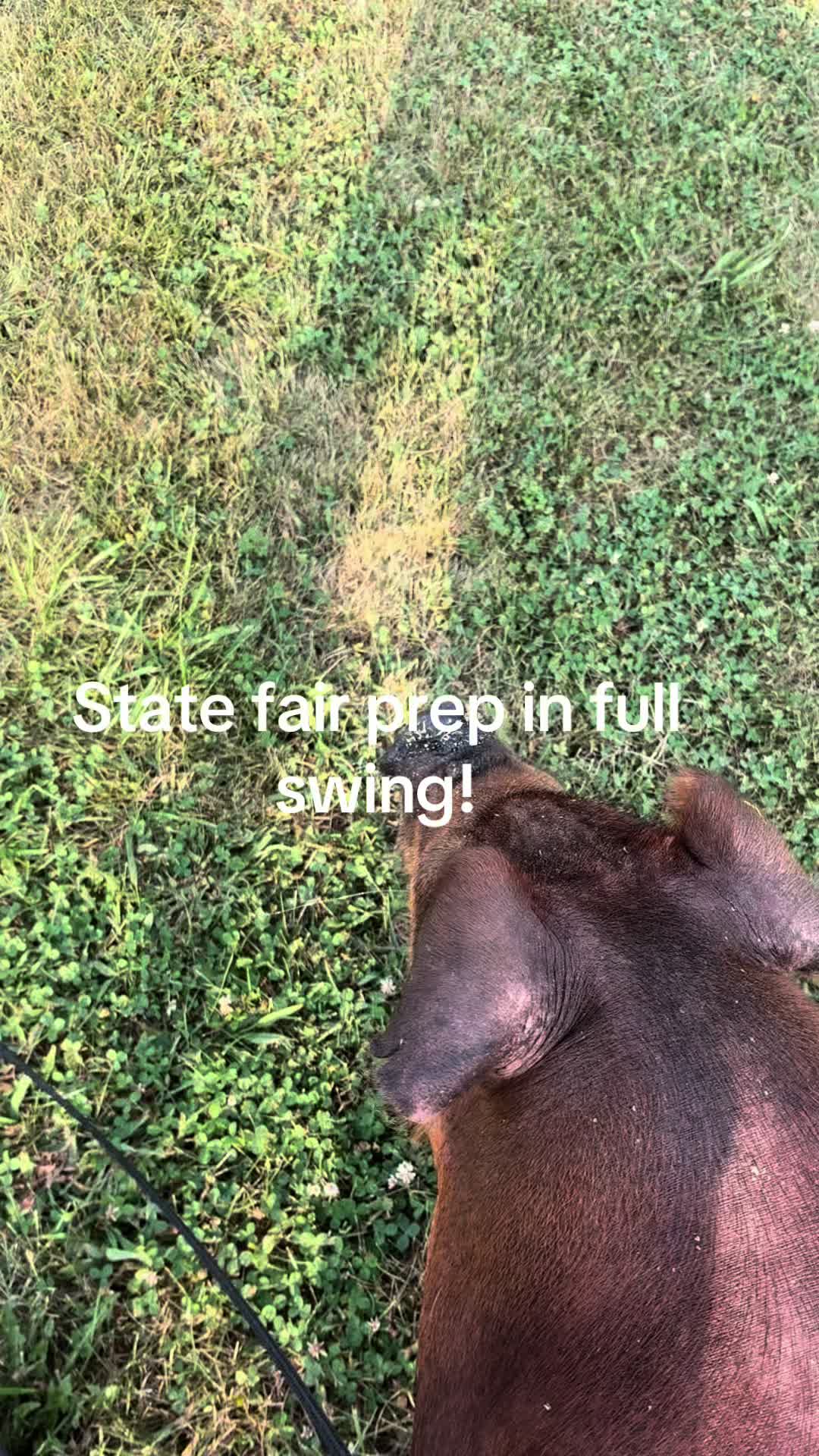 @Caasssss