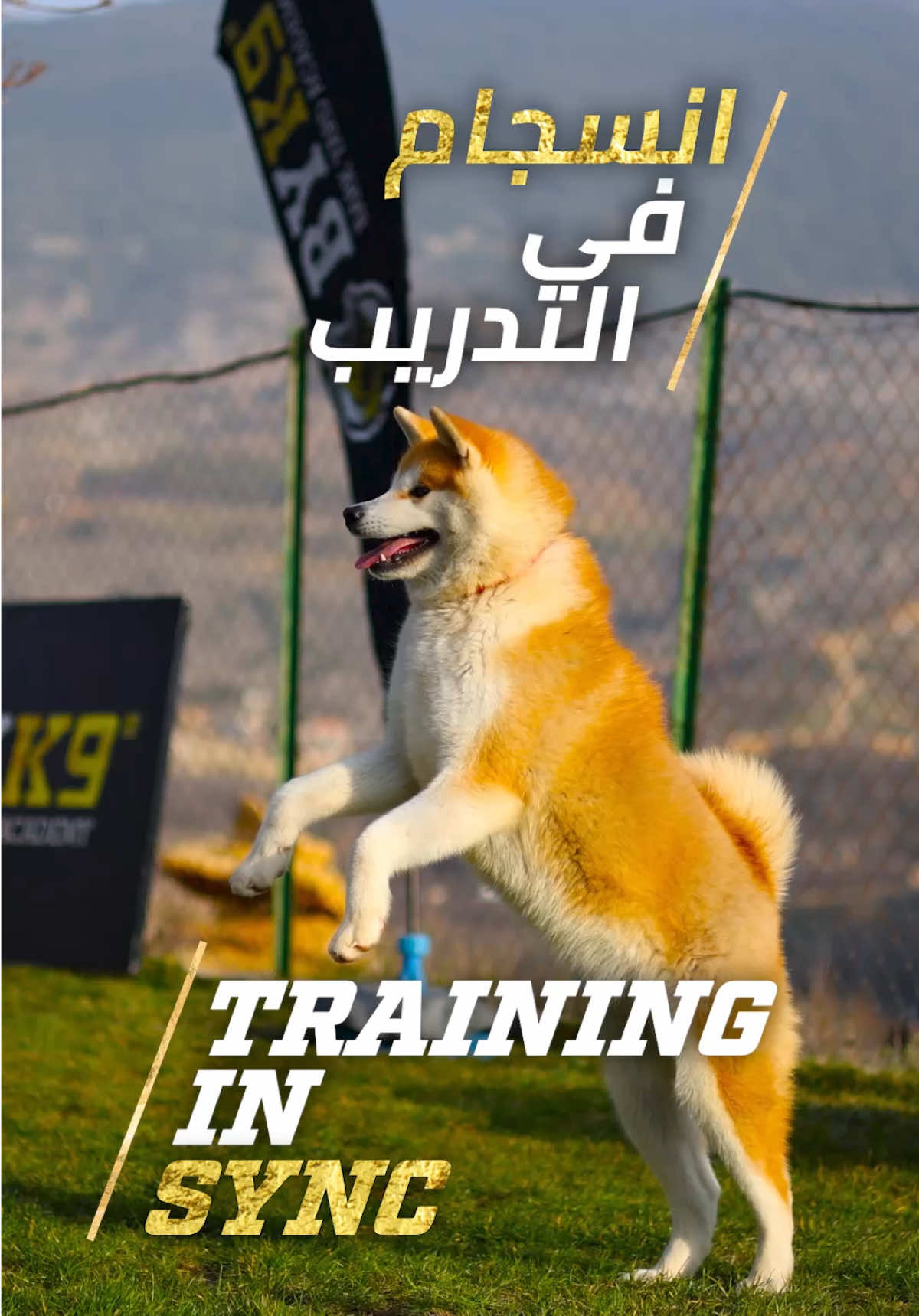 @BYK9