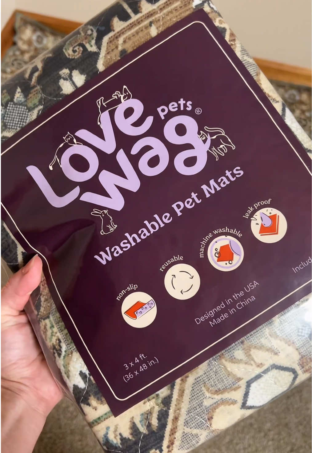 @Velvet Paws