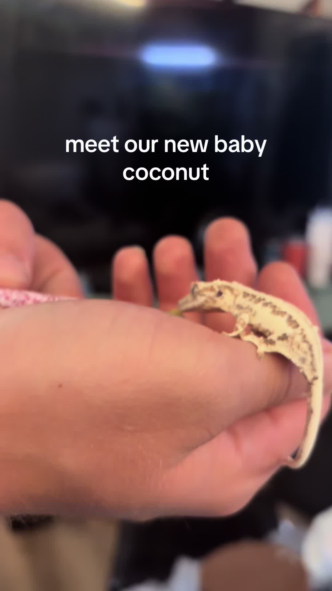 @Sierra🥐