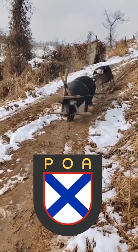 @Семен про 2018