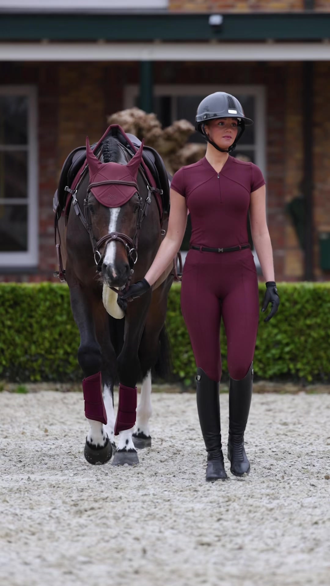@Maximilian Equestrian