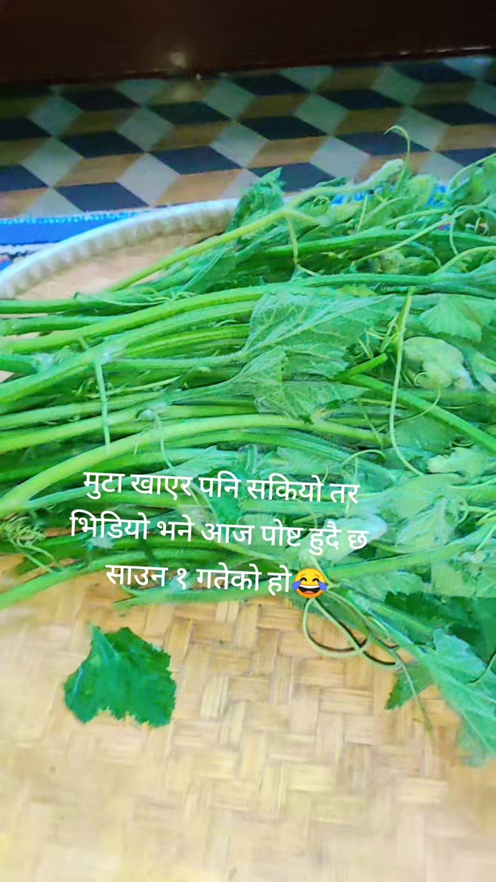 @sarmilathapa251