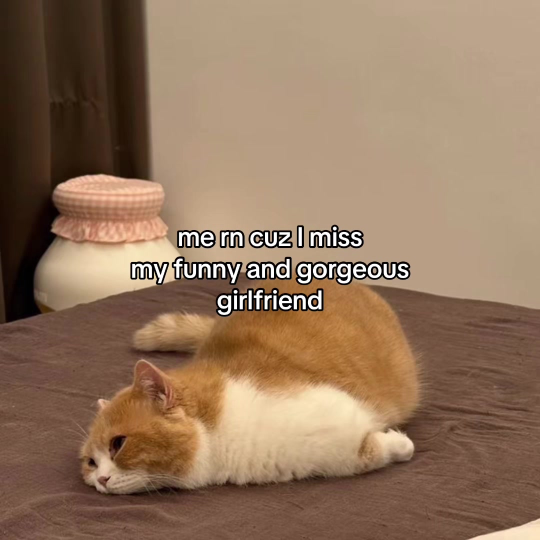 @Alice.cattok