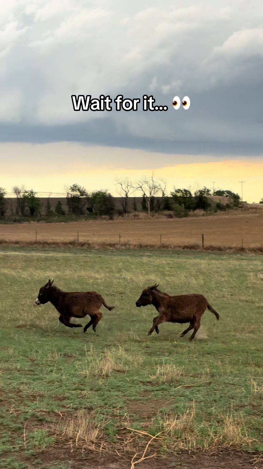@Sandy Acres Farm