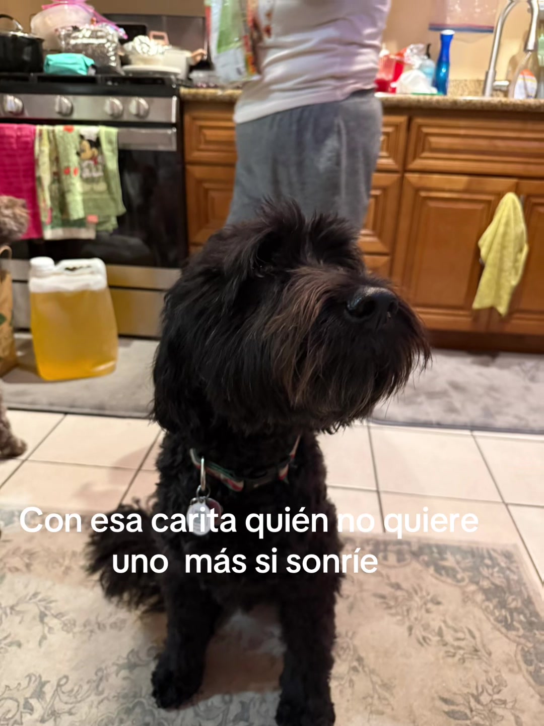 @saraiprz93