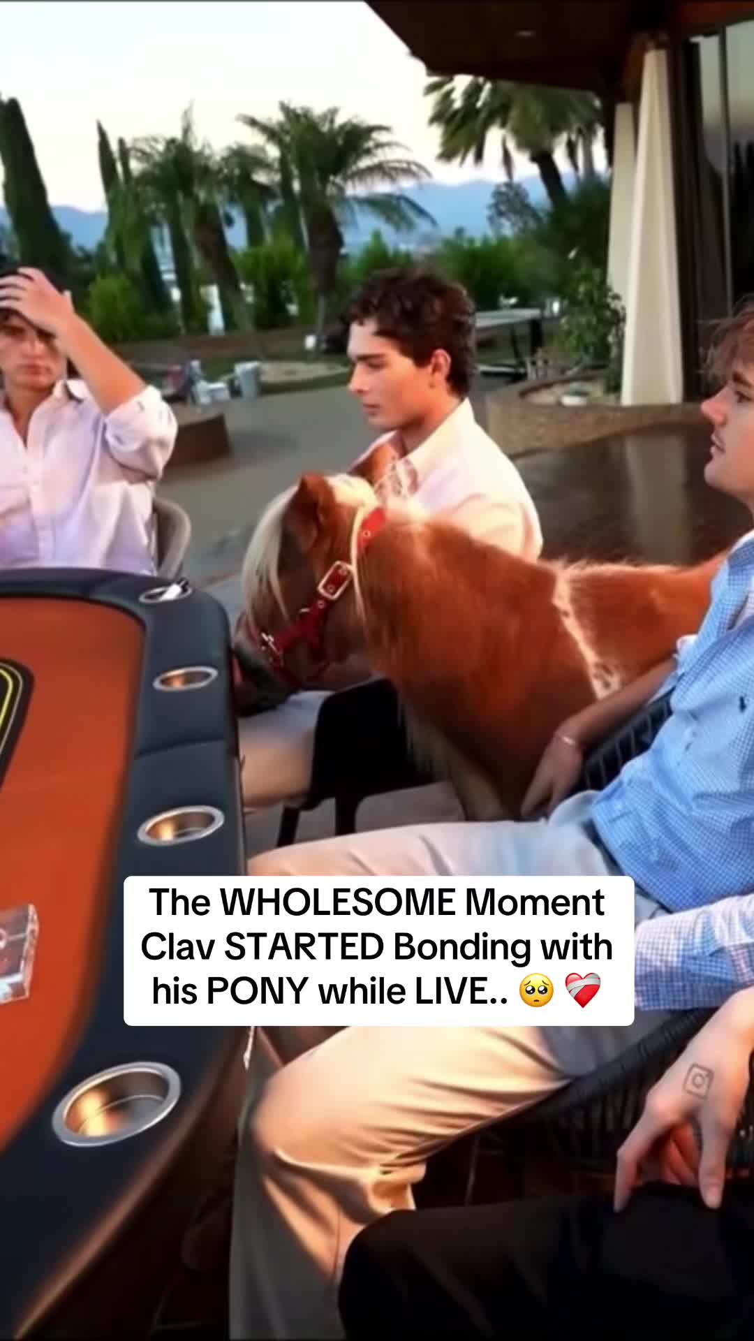 @ExclusivelyKick