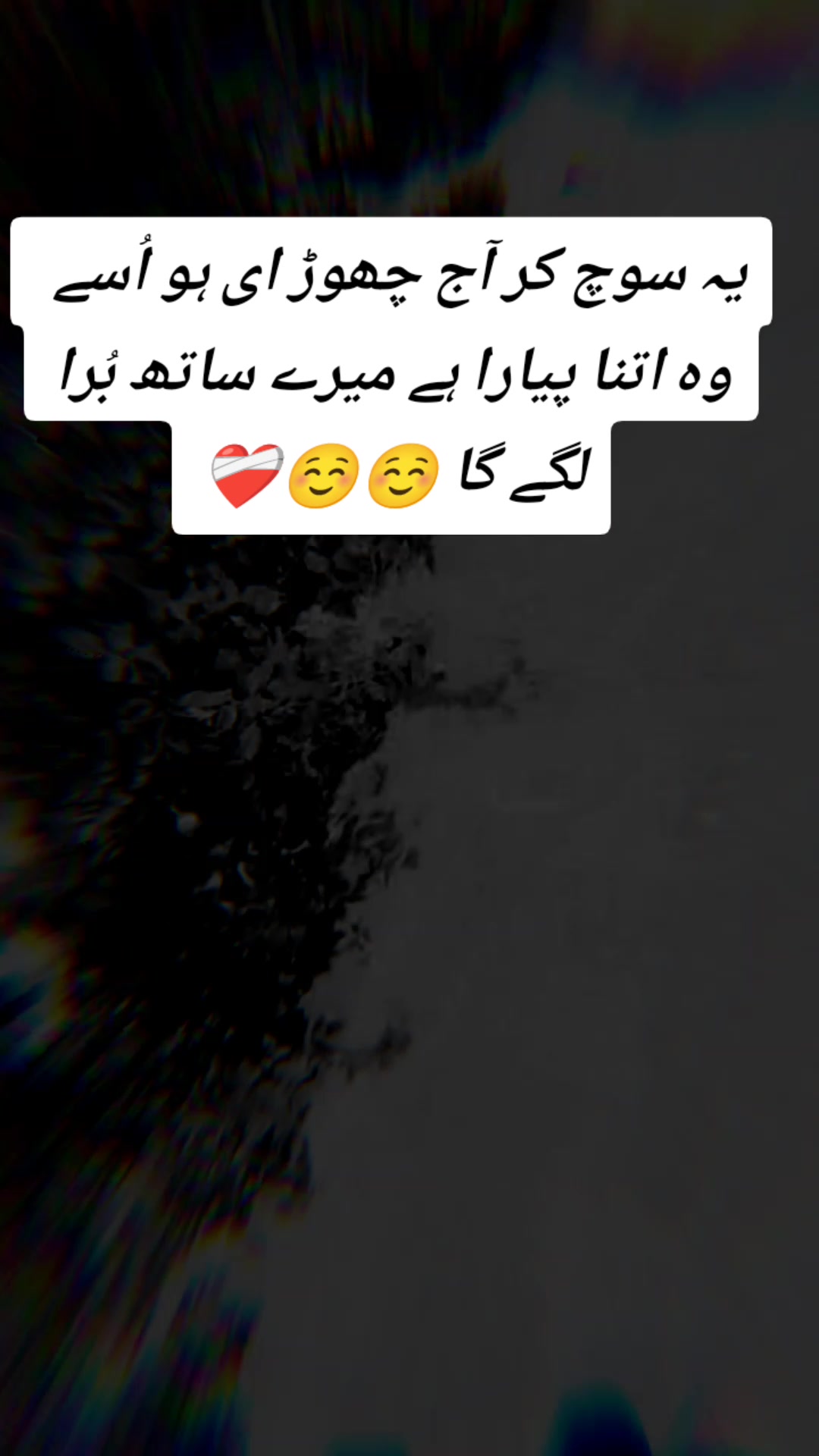 @🍂کملی 🍂