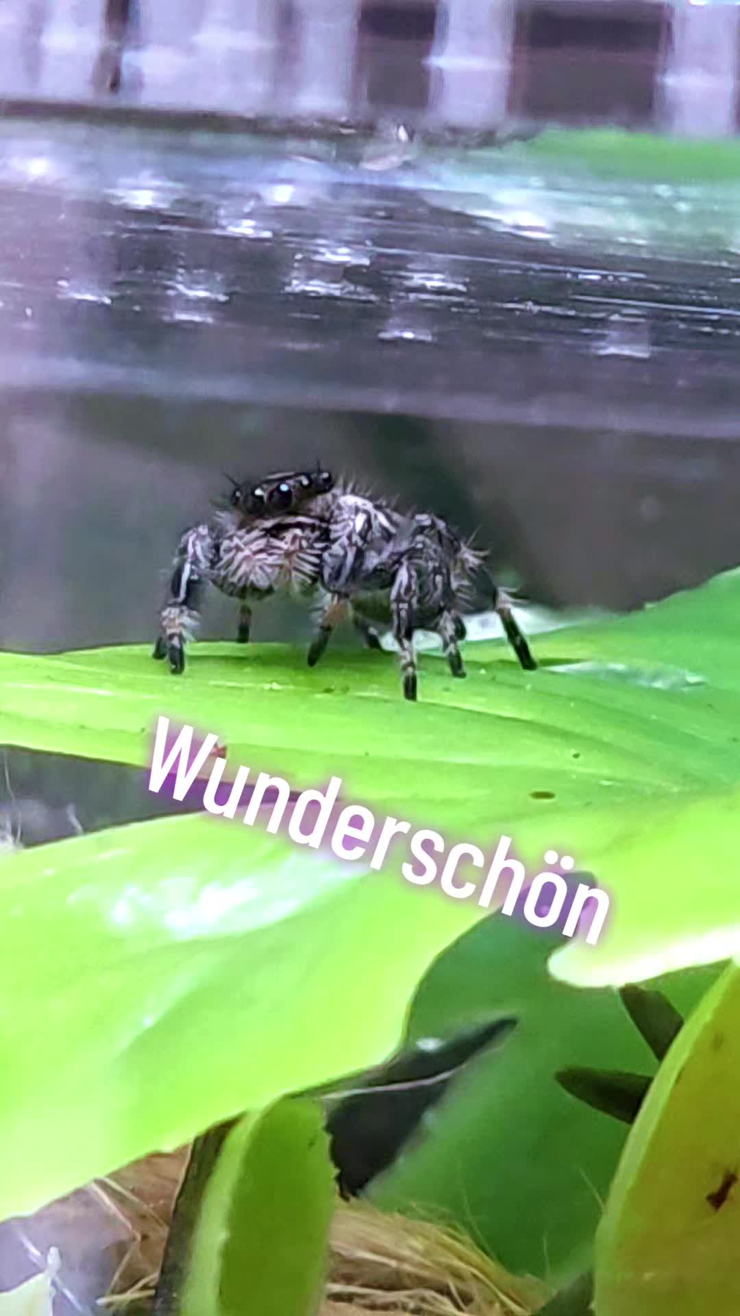 @Angi🇩🇪🦅