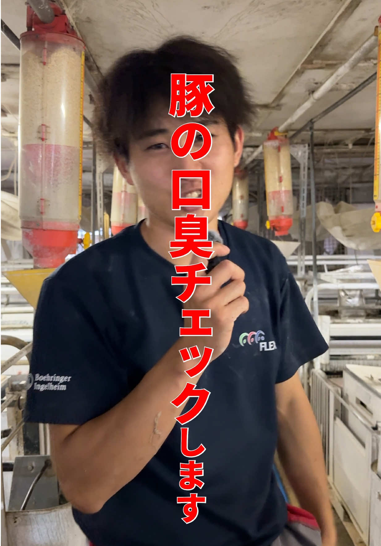 @豚肉オンラインショップ