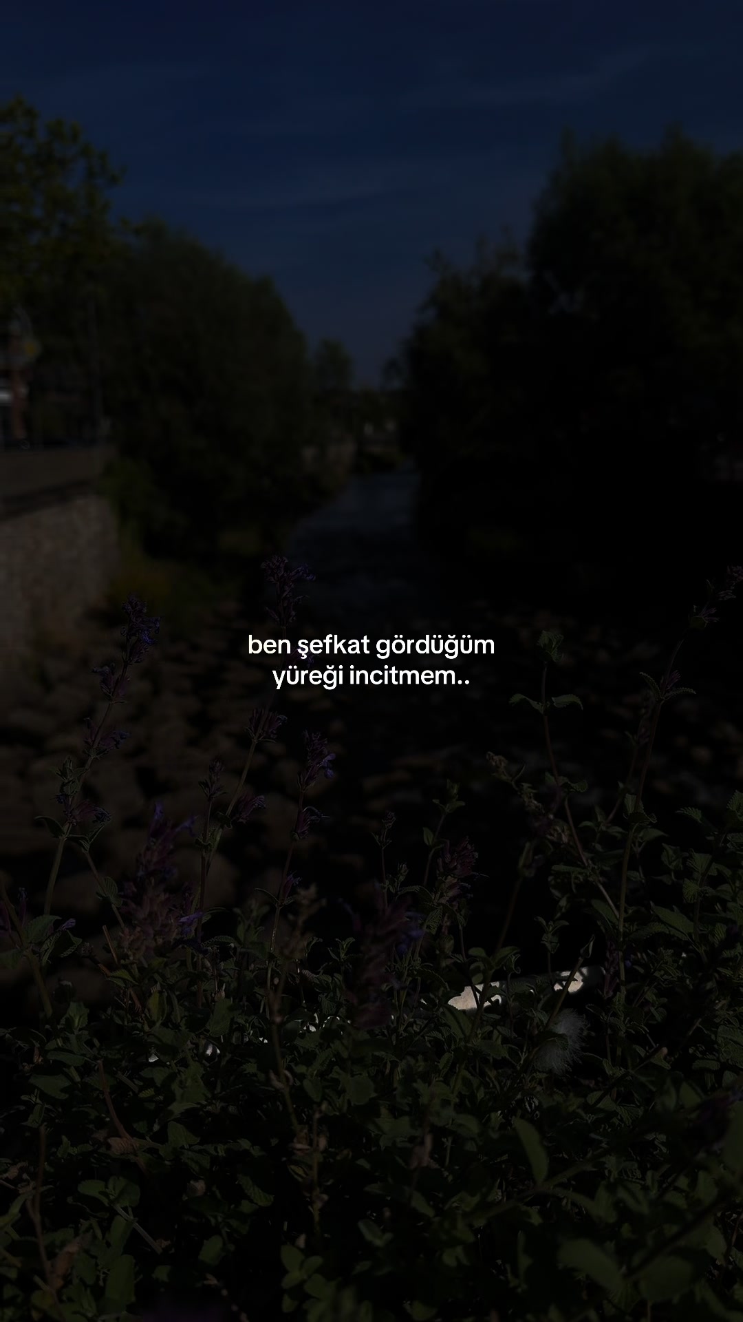 @𝓶𝓸𝓸𝓷𝔀𝓱𝓲𝓼𝓹𝓮𝓻 🌙
