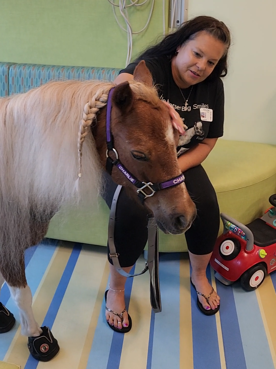 @minihorsemomandtrainer🐴🐴🐴🐴