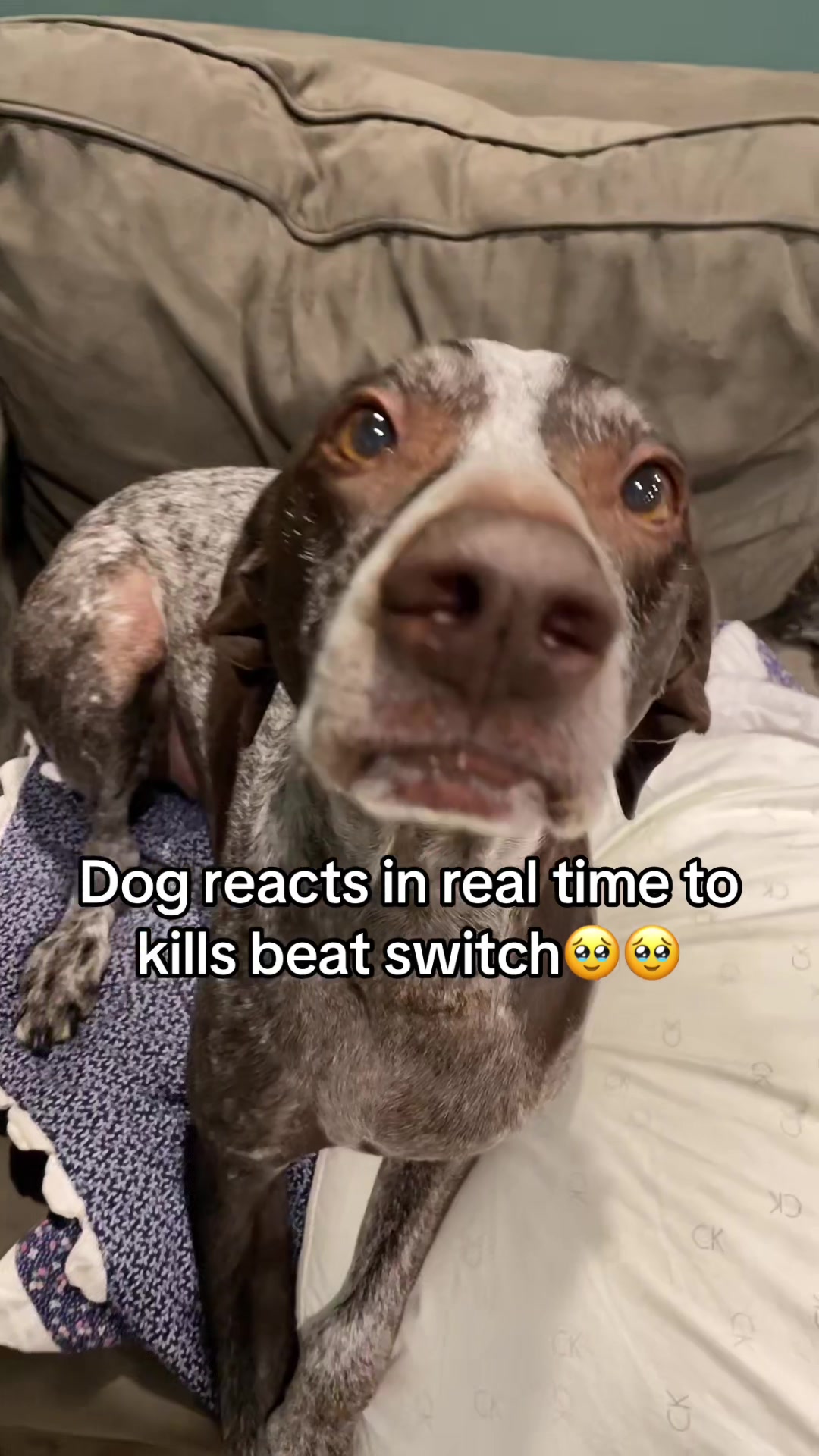 @SyncedMusic