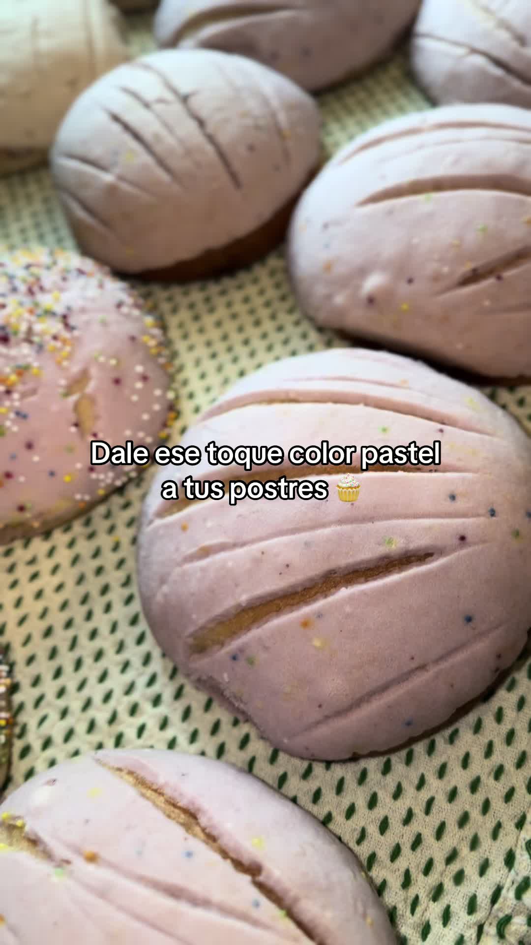 @alivalenciall