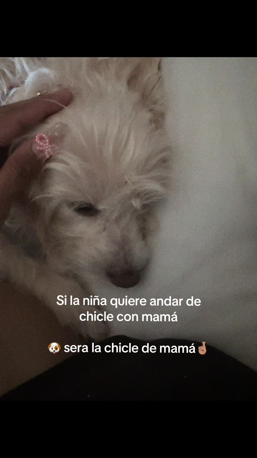 @Evelyn