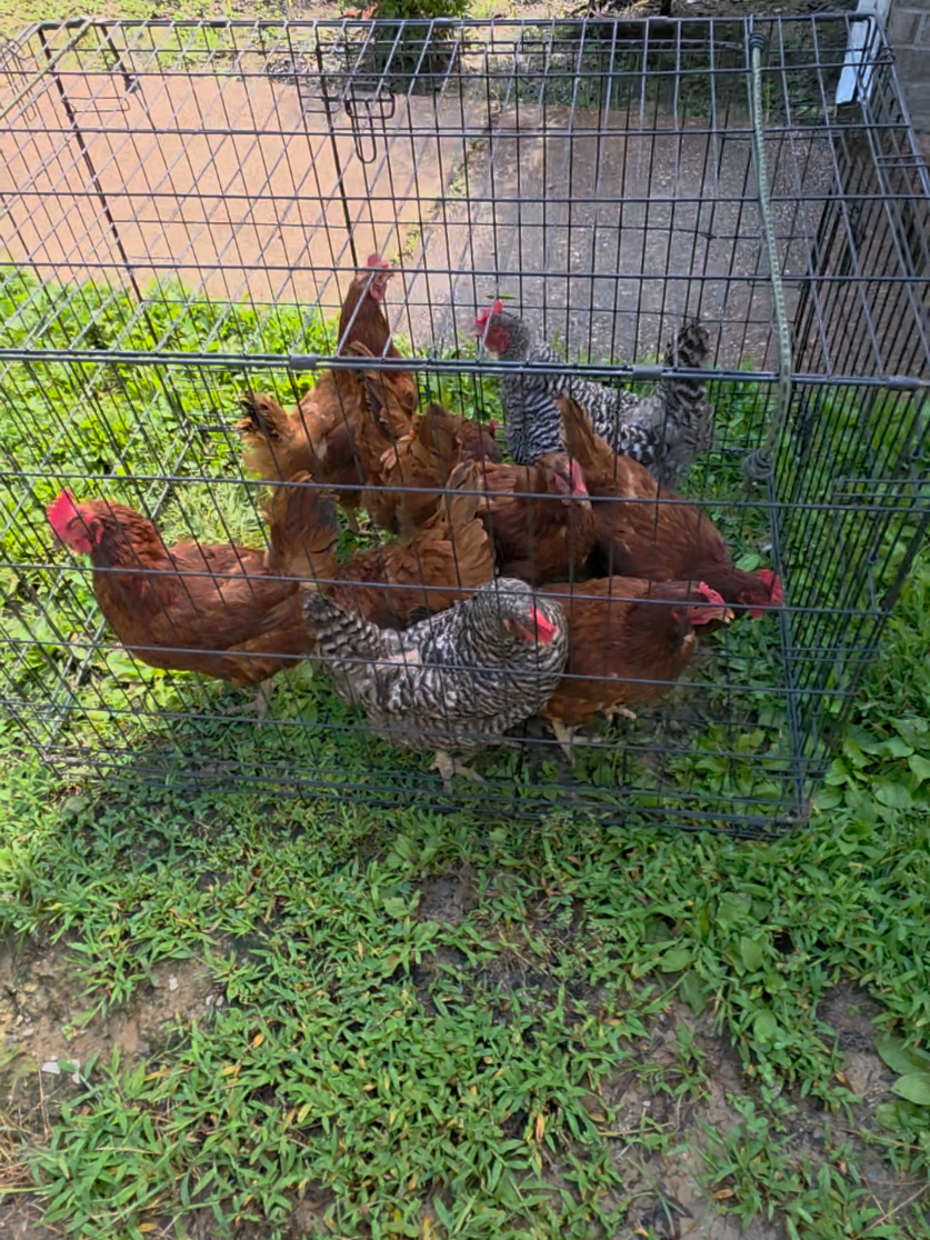 @JMFARMS123