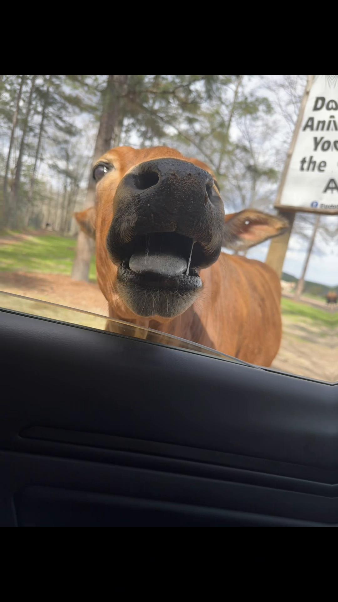 @Jay