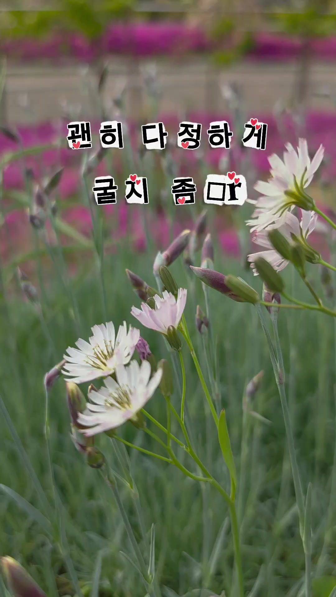 @&deg;💛⃠ᭂ҉ &deg;🌴⃢나 🌴⃢윤 ᱝ~⃠ᭂ҉