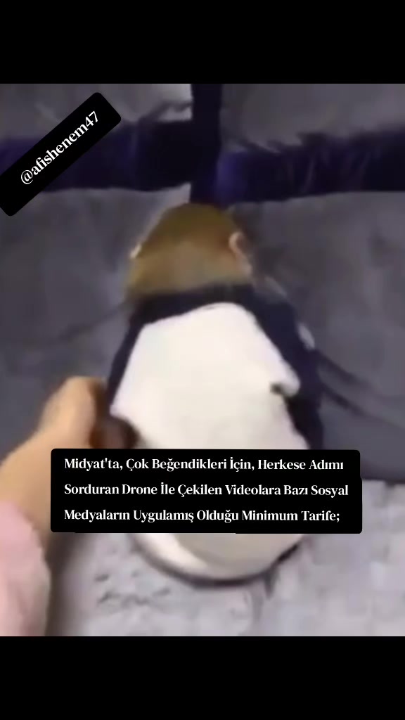 @hertelden4747