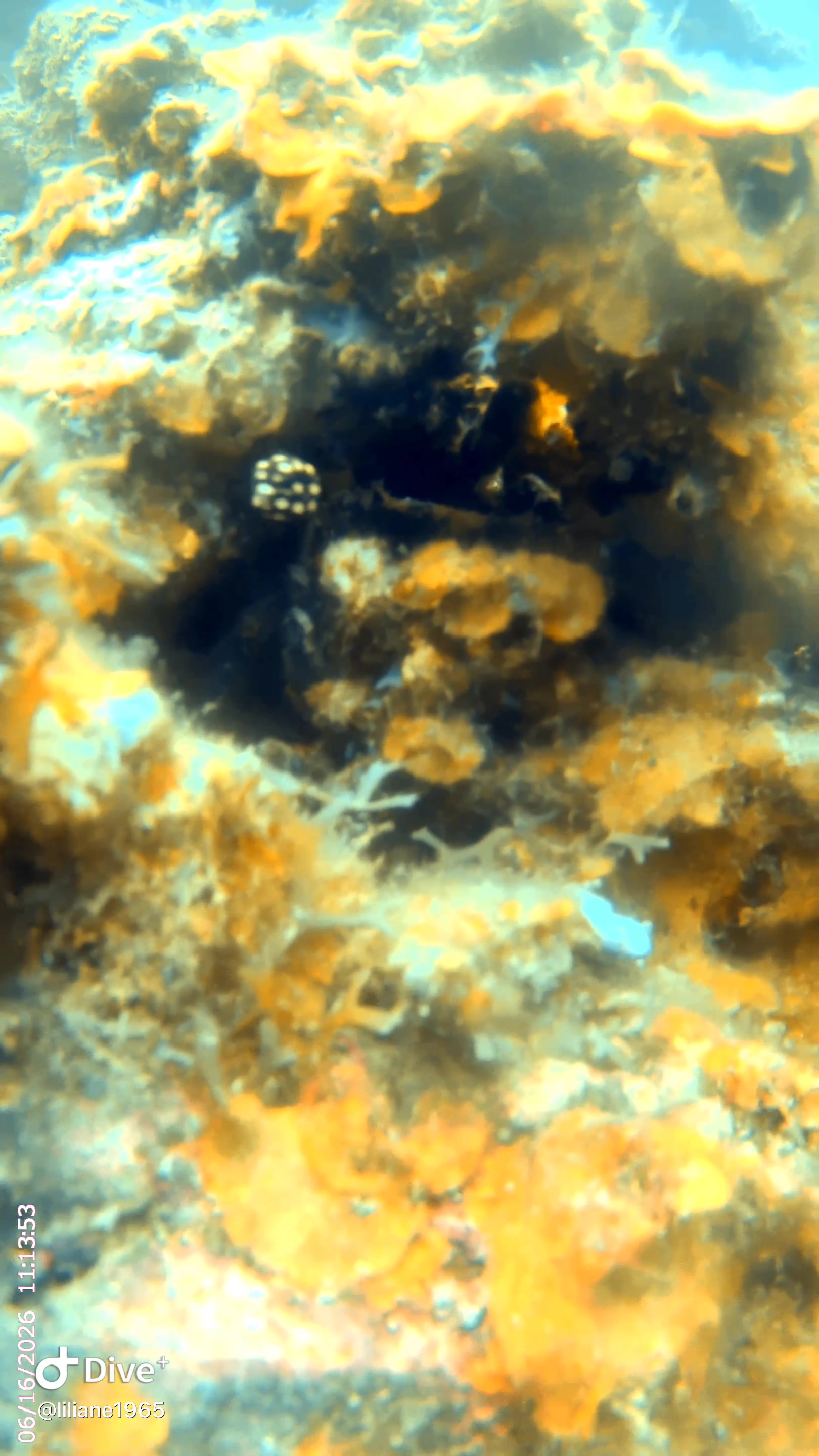 @Divestories Curacao    +Follow